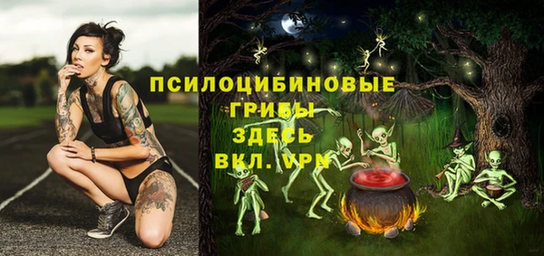 молекула духа Алексин