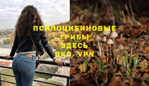 ALPHA PVP Алзамай