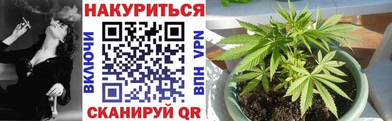 хочу наркоту  Злынка  Бошки Шишки планчик 